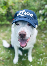 hund med lope keps i navy blått med vintage style filt logga