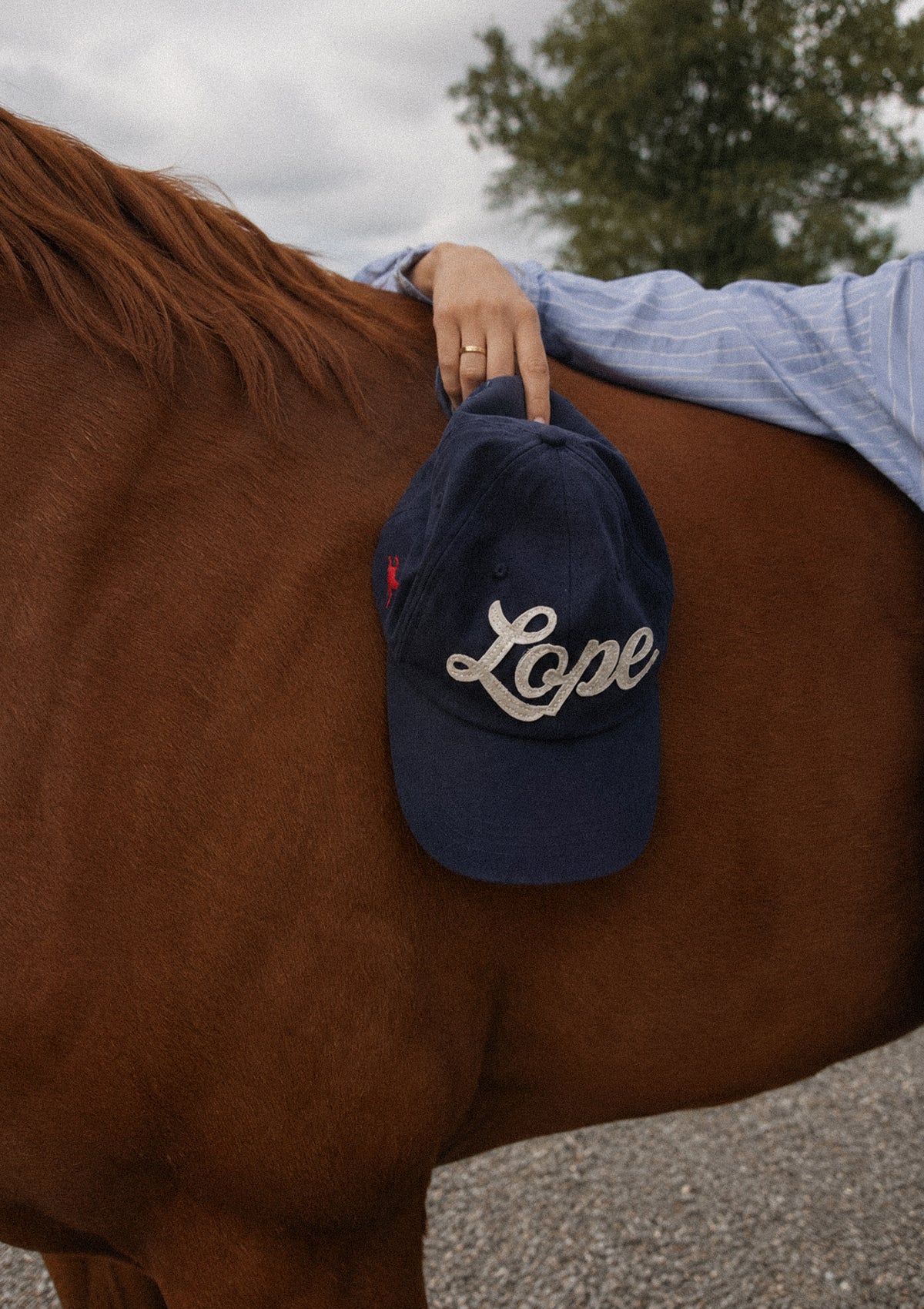 LOPE HERITAGE KEPS -NAVY Blå vid häst