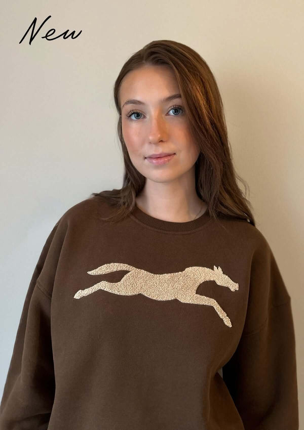 Choklad brun collegetröja med hästmotiv